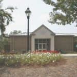Genealogy Research at the Olivia Raney Local History Library